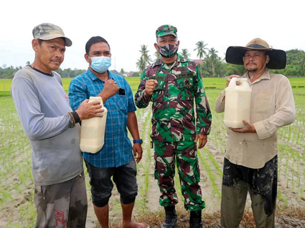 eco farming liliwangsa2