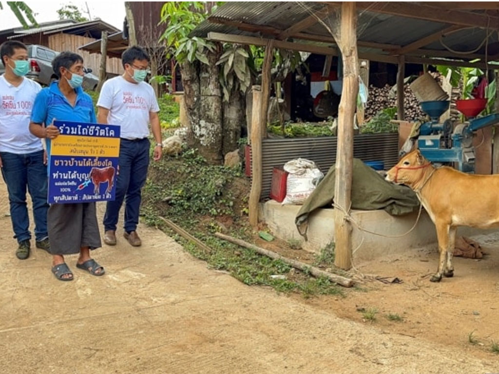 hadiah sapi vaksinasi covid thailand