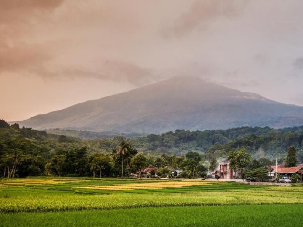 Desa Wisata