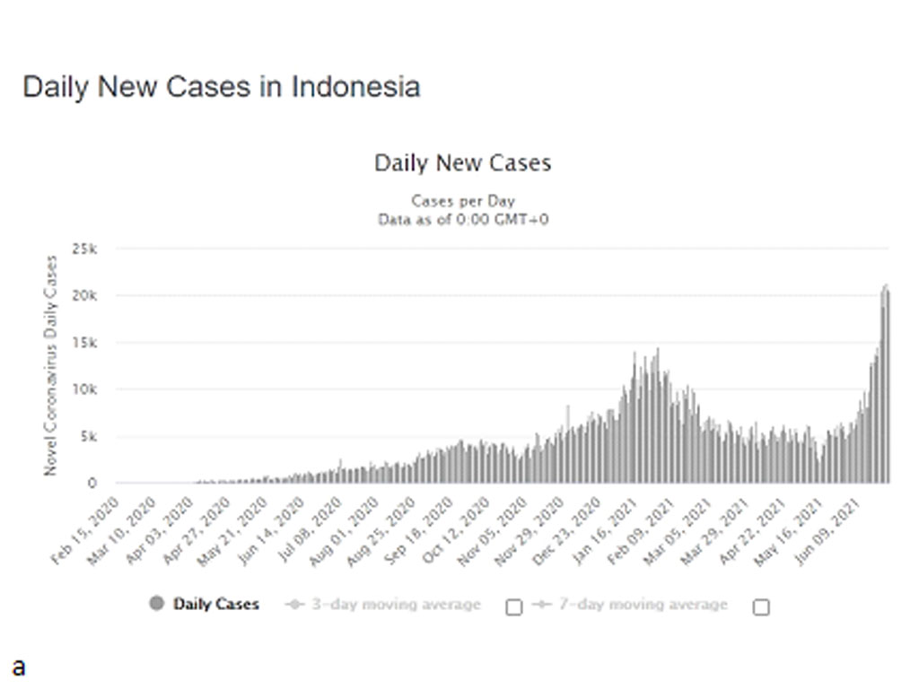 kasus harian indonesia