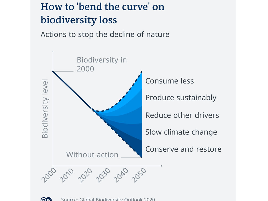 Komitmen Global Lindungi Ekosistem Bumi Dihadang ASEAN | Tagar
