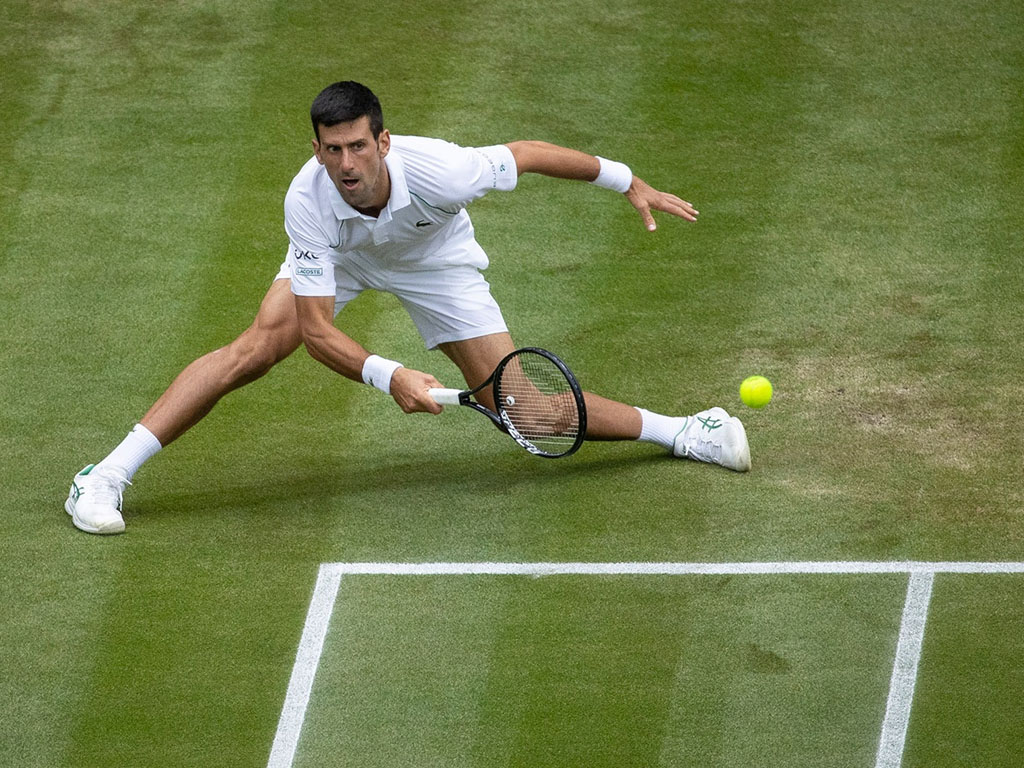 novak djokovic