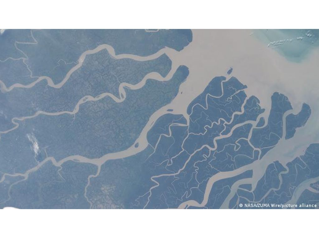 Hutan bakau Sundarban Bangladesh dan India berbagi kesalahan