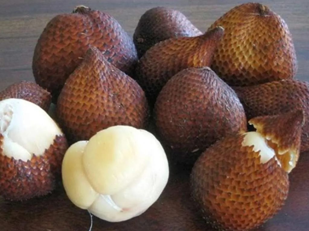 Buah Salak