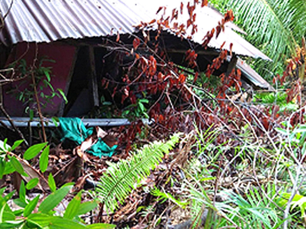 rumah warga di tarakan kena longsor