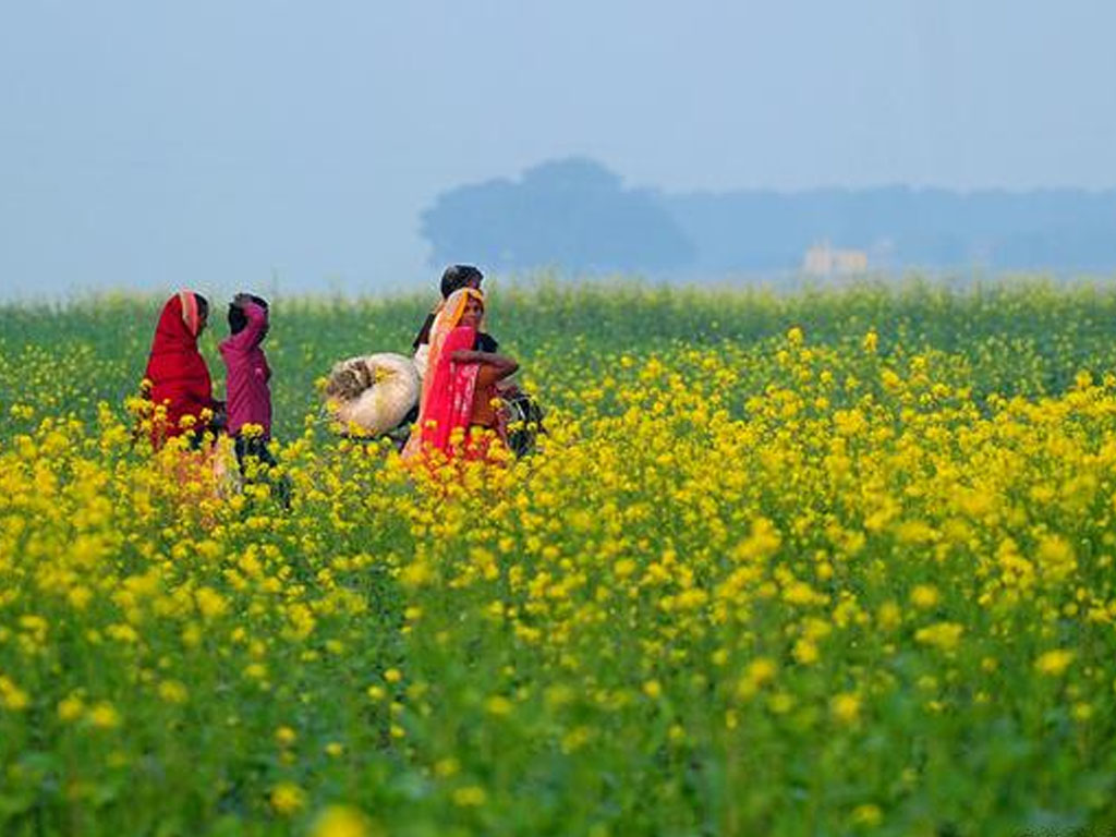 pemberdayaan perempuan india