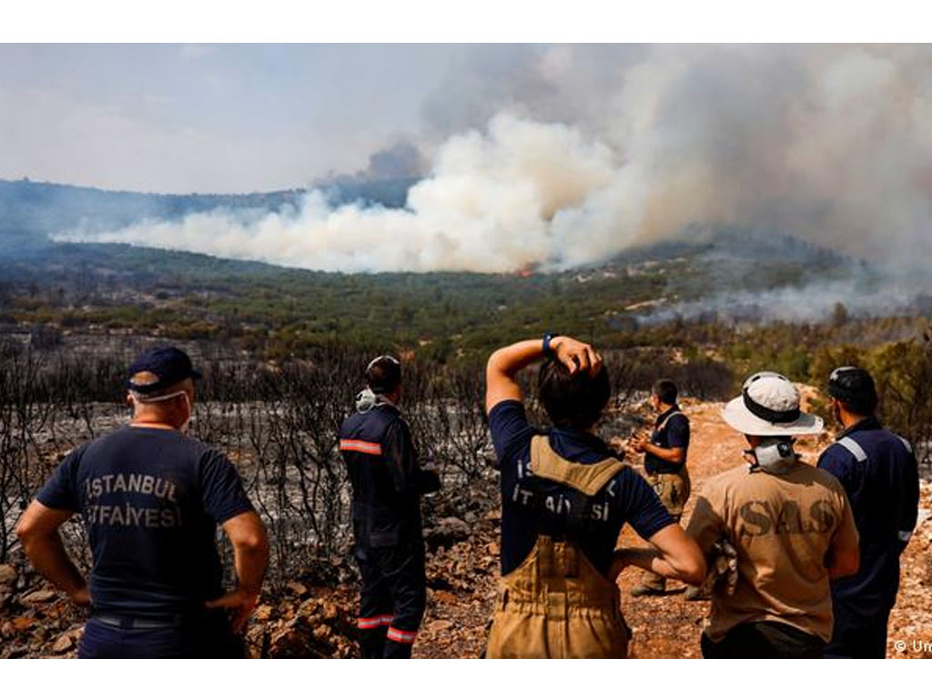 Kebakaran hutan di Turki