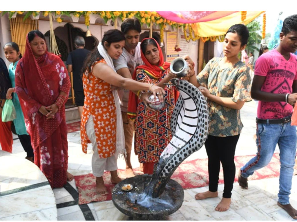 Umat Hindu menuangkan susu di atas patung ular Cobra