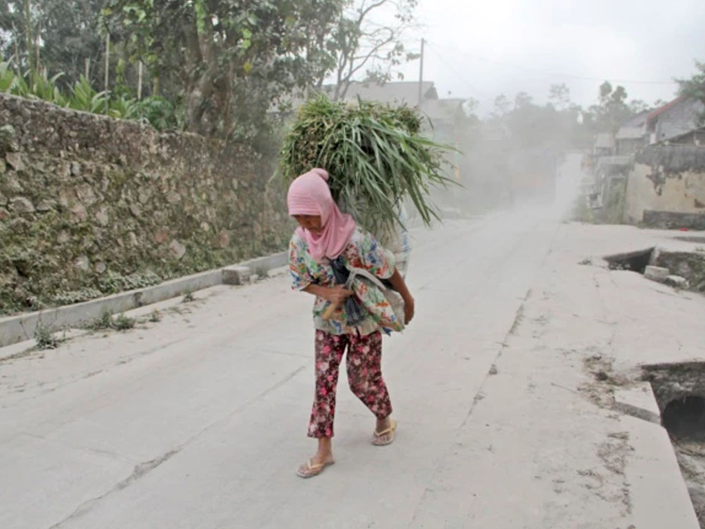 Seorang perempuan membawa rumput