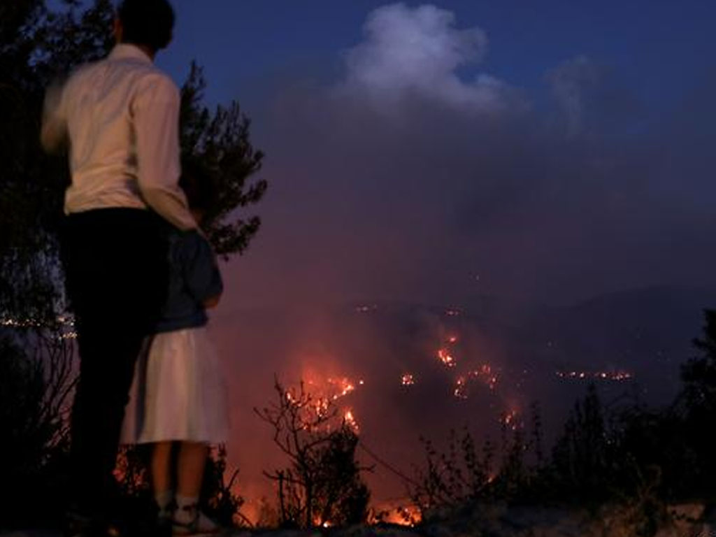 Israel menghadapi kebakaran hutan