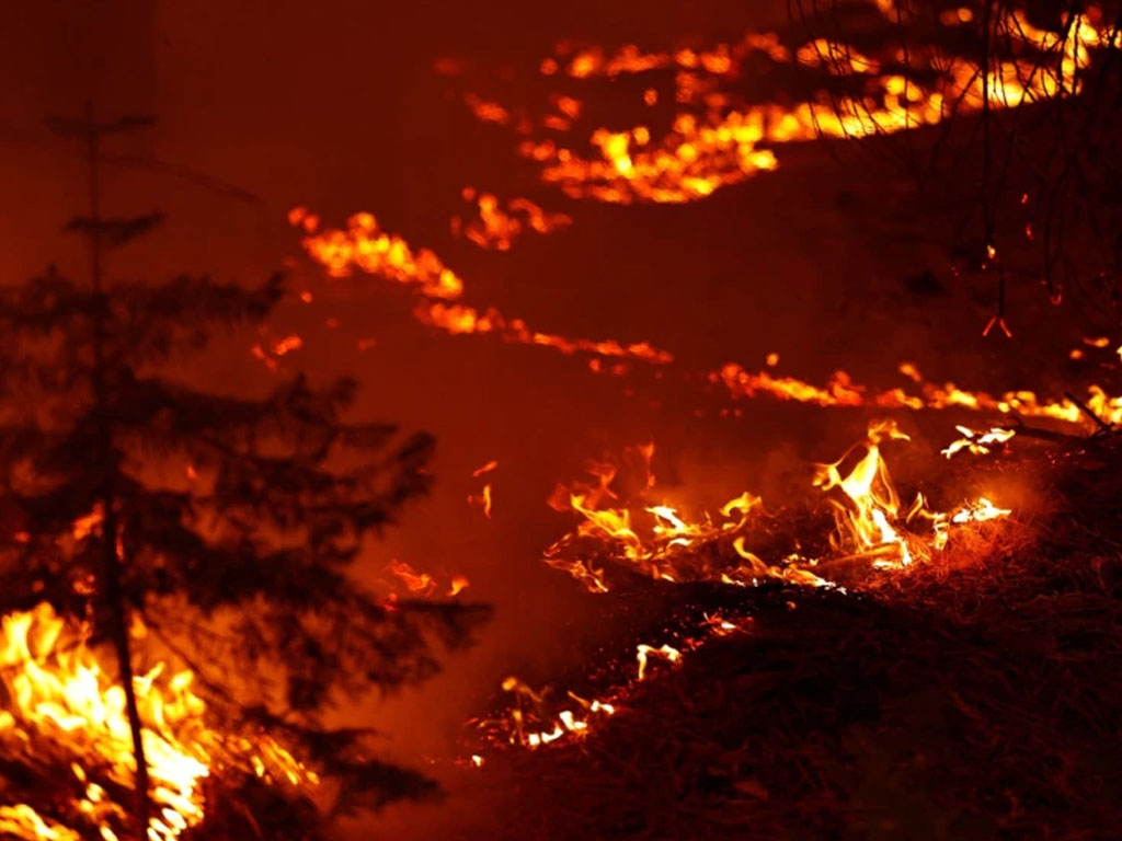 Kebakaran hutan Caldor Fire California