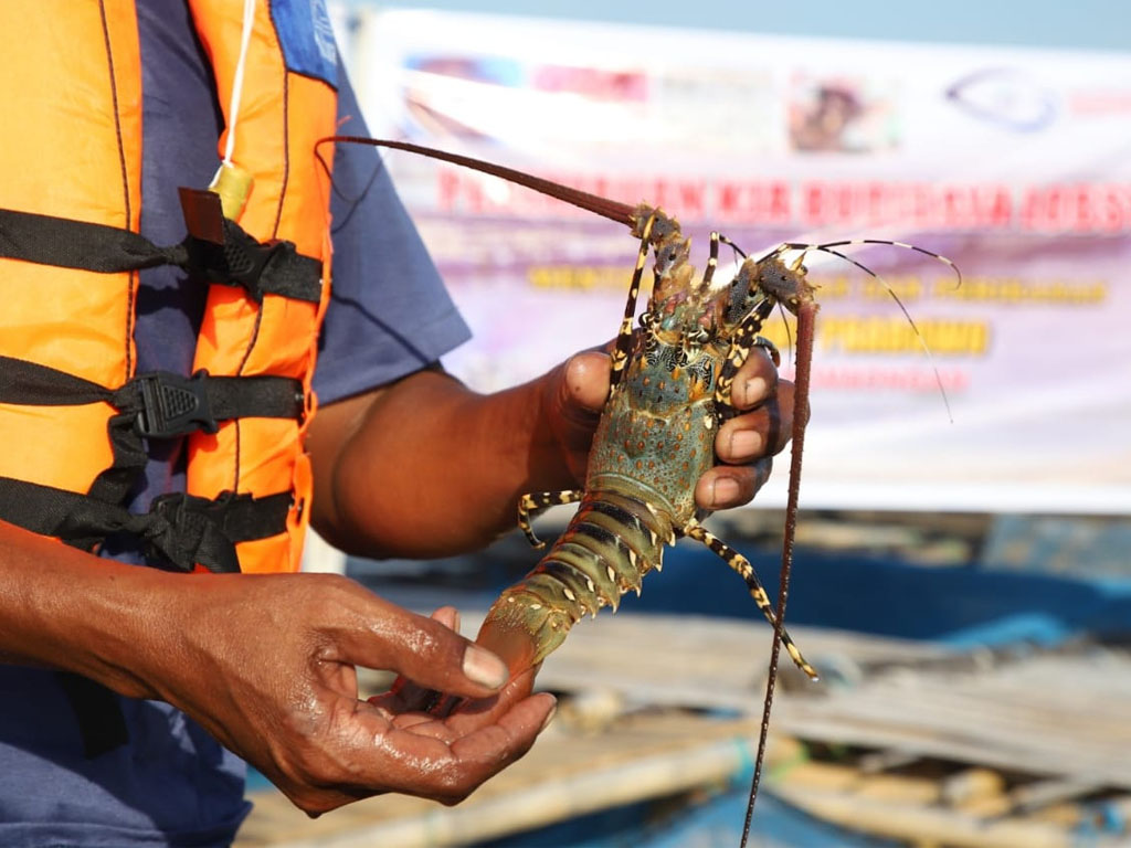 komoditas perikanan biak