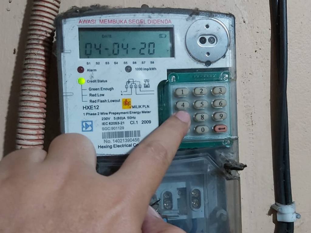 PLN
