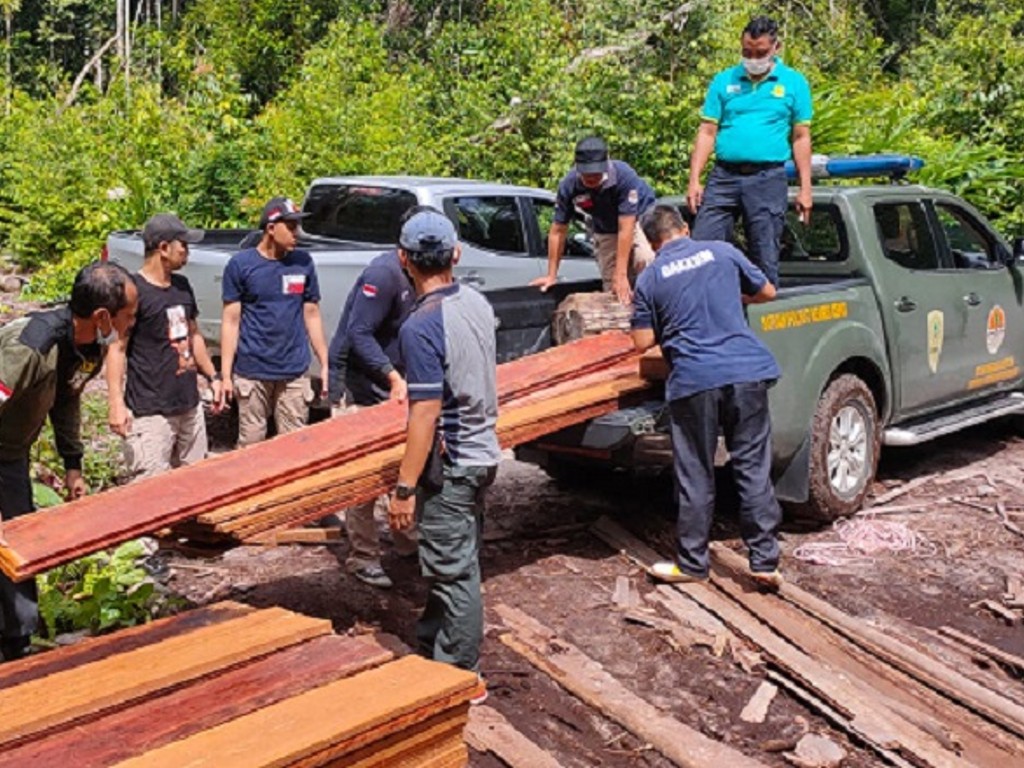 KLHK Pembalakan Liar