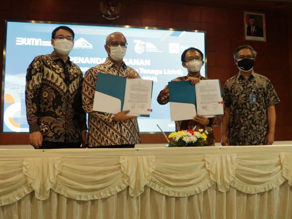 PLN