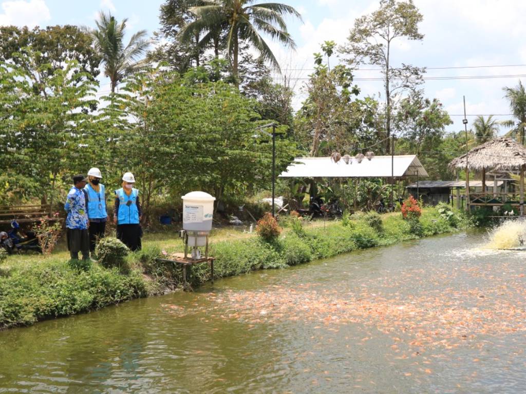 PLN Budidaya Ikan Nila