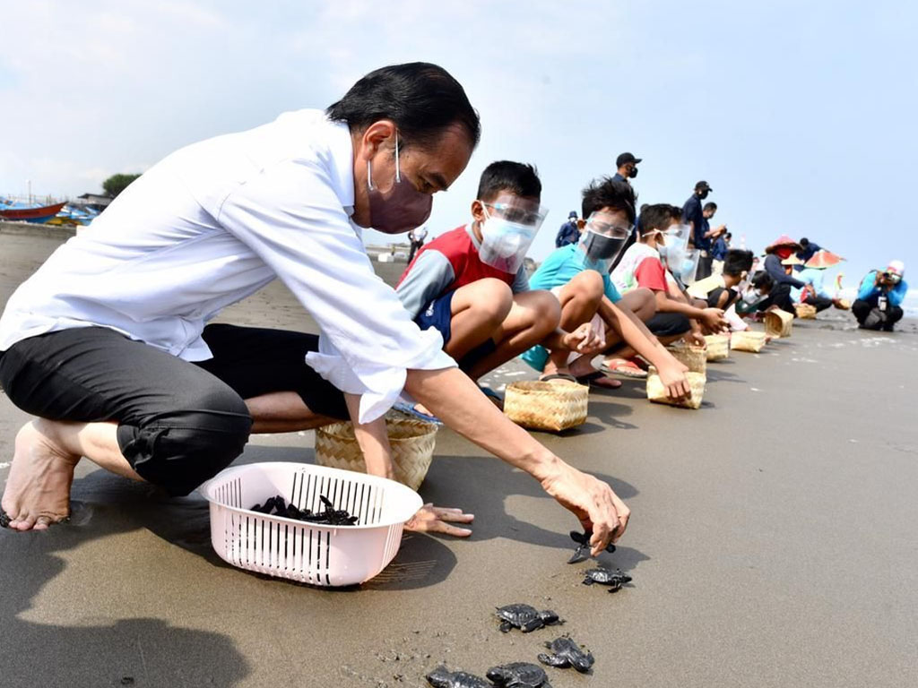 jokowi lepas tukik di cilacap