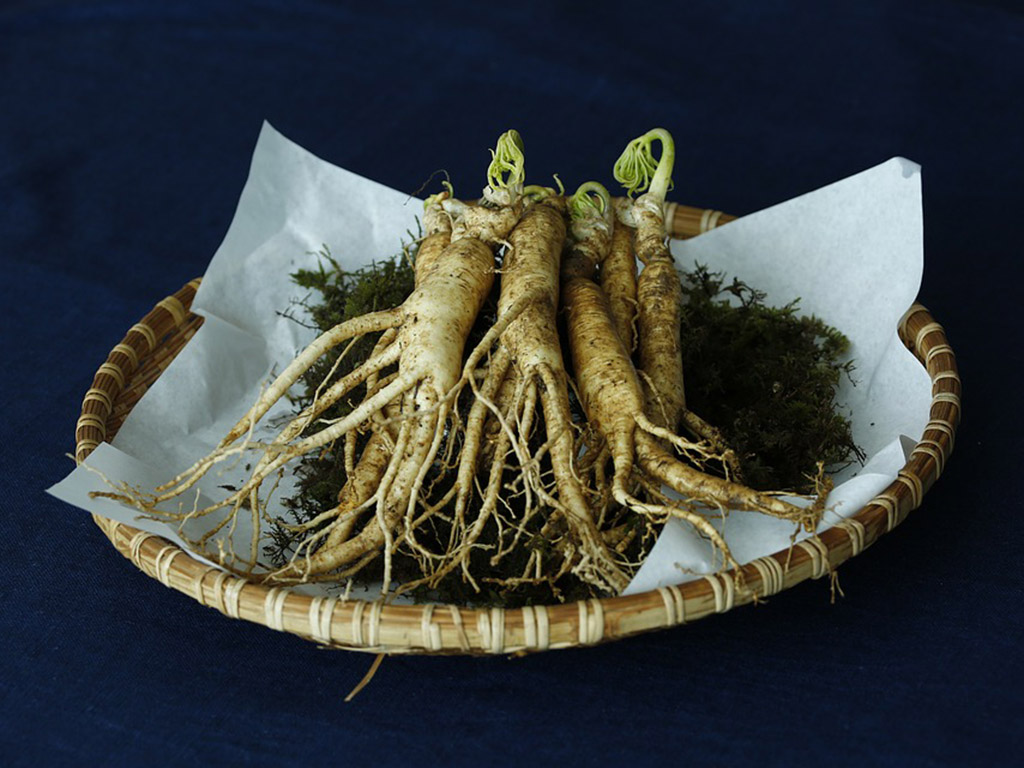 Gingseng