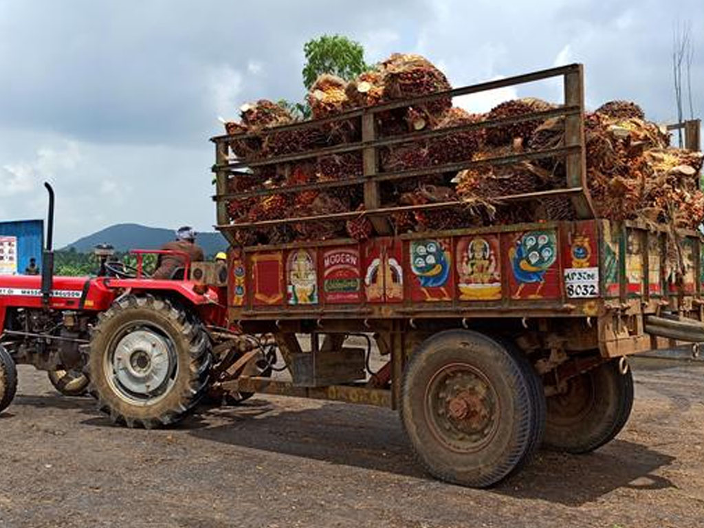 traktor di india bawa sawit