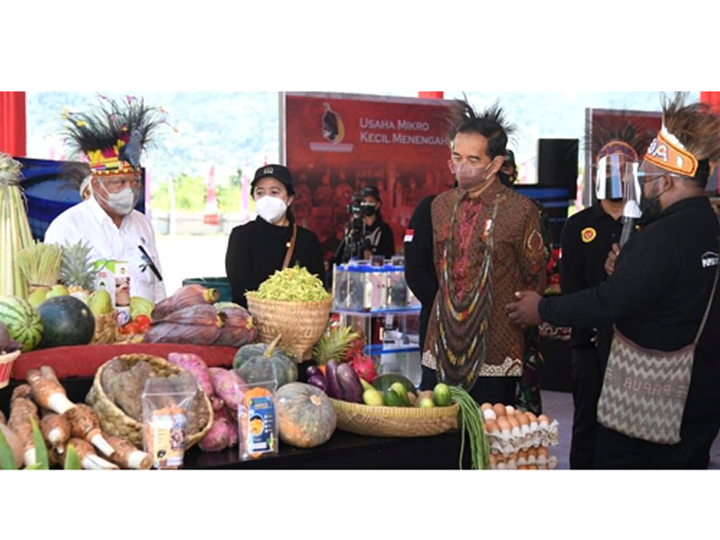 Jokowi resmikan Papua Youth Creative Hub