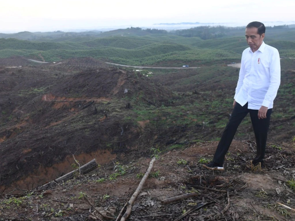 jokowi tinjau lokasi ibu kota baru