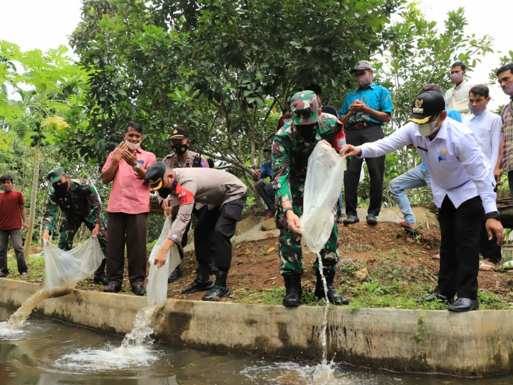 camat nisam dan dandim tabur benih