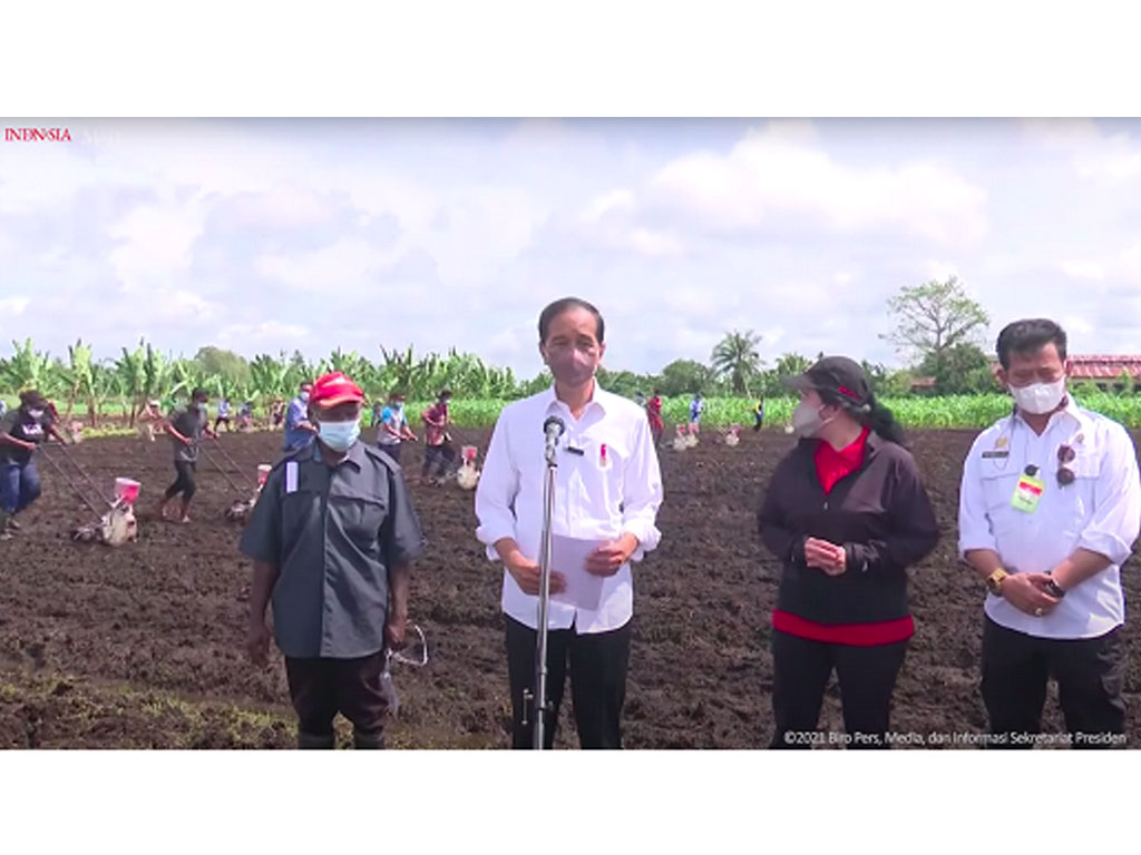 jokowi di sorong