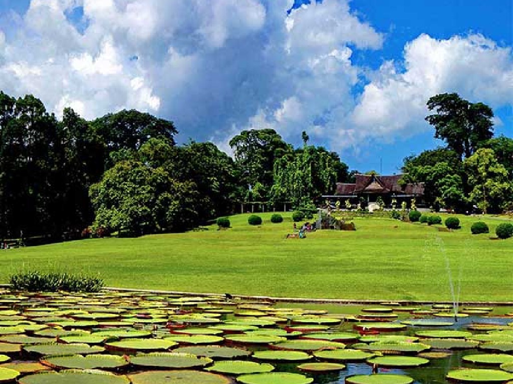 Kebun Raya Bogor