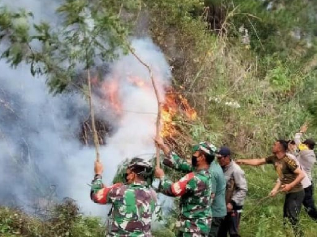 tni dan warga padamkan api