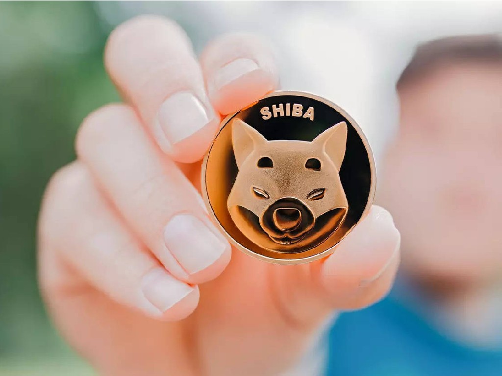 Shiba Inu Coin