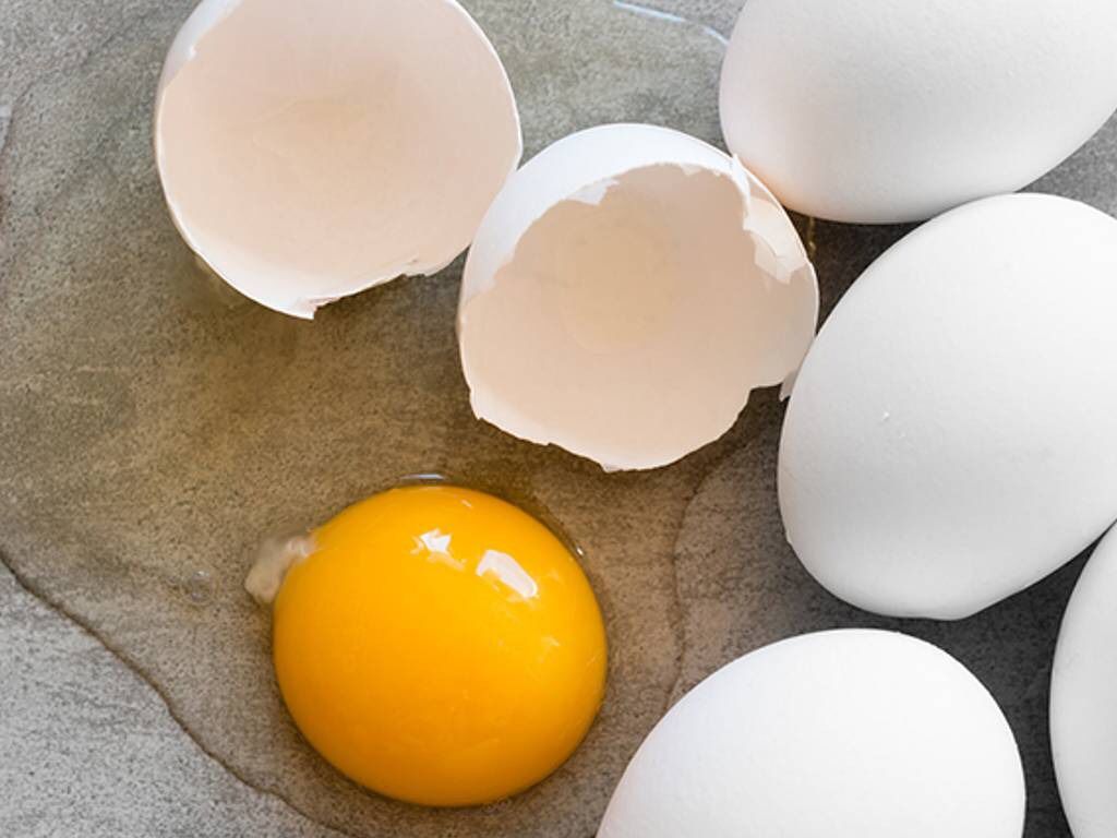 Manfaat Telur