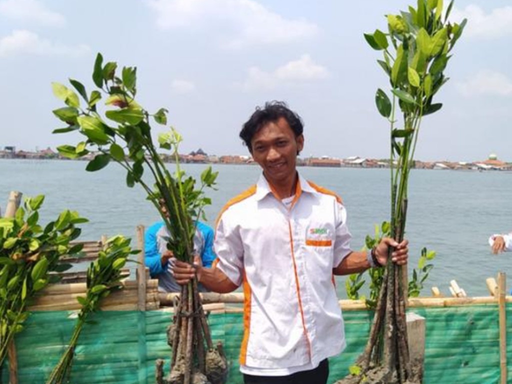 Penanaman 1.000 mangrove di Dukuh Timbulsloko, Kabupaten Demak