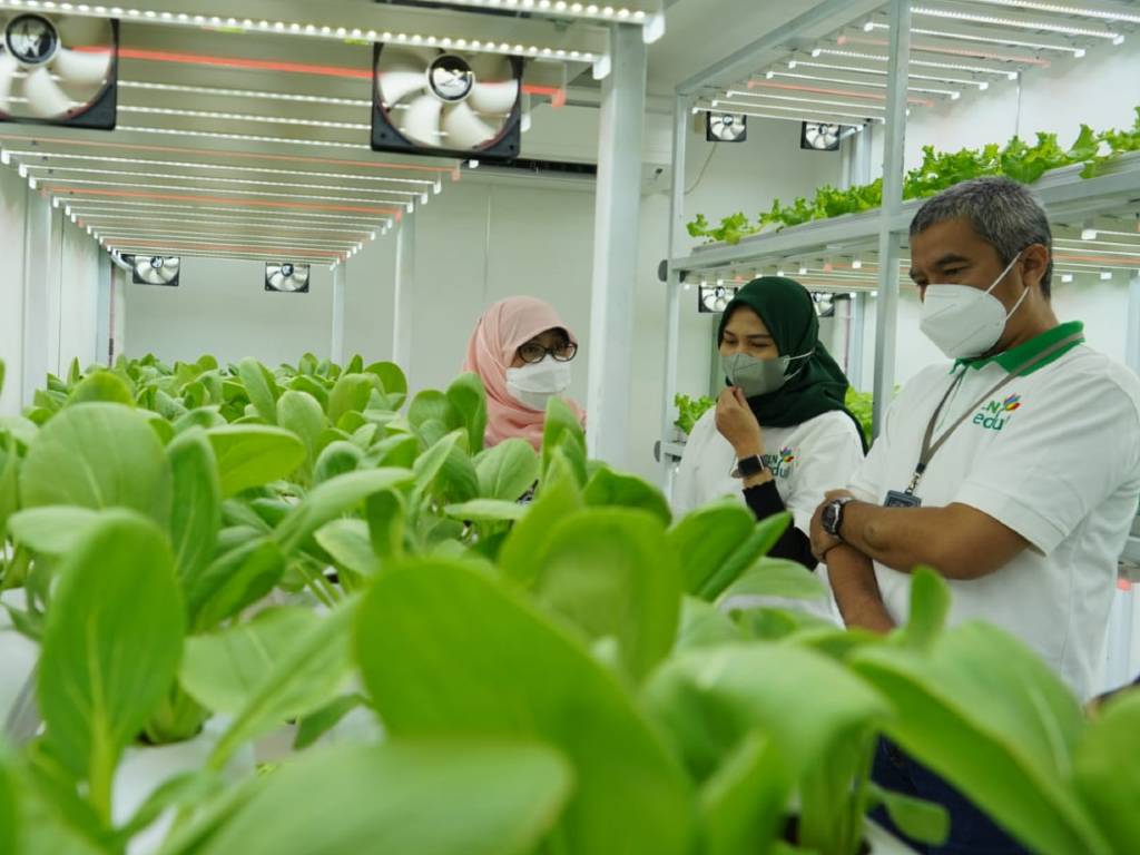 Container Farming