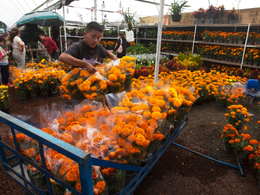 warga meksiko beli bunga