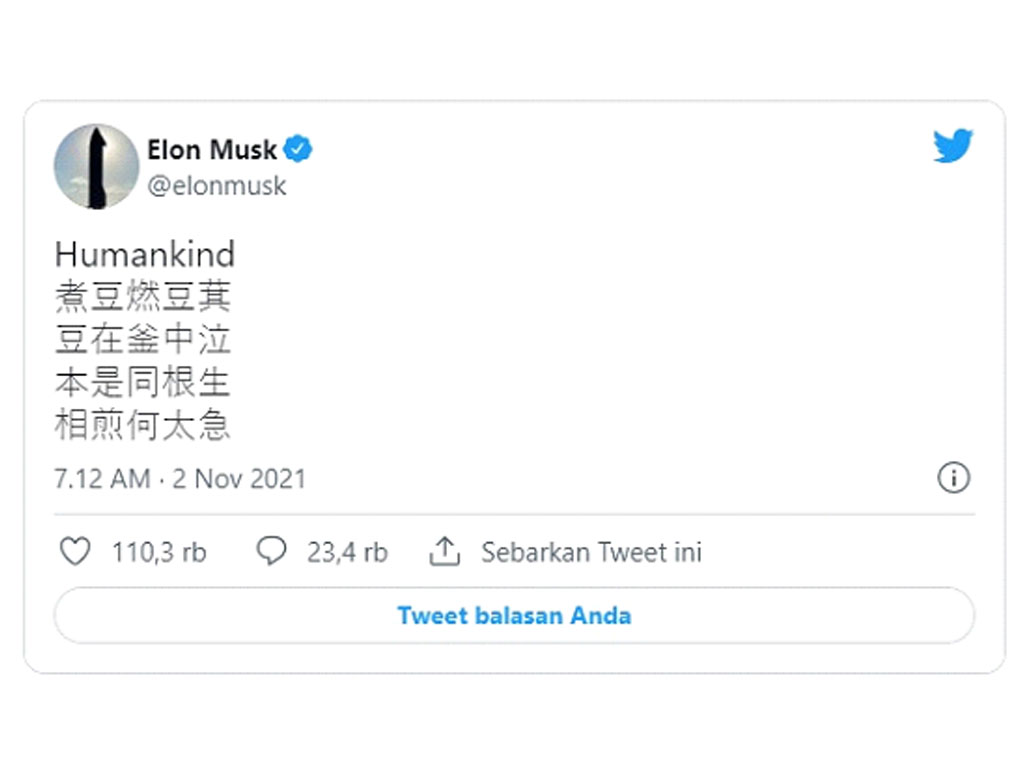 twit musk