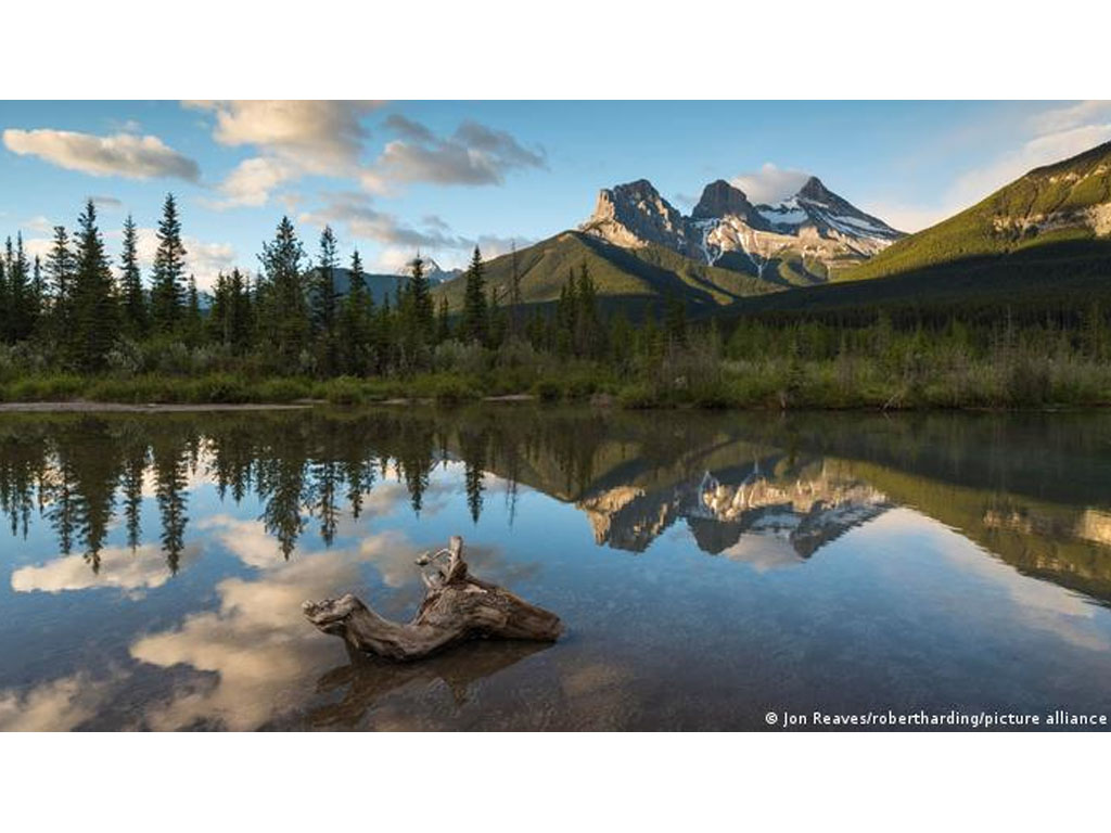 Hutan Boreal Kanada