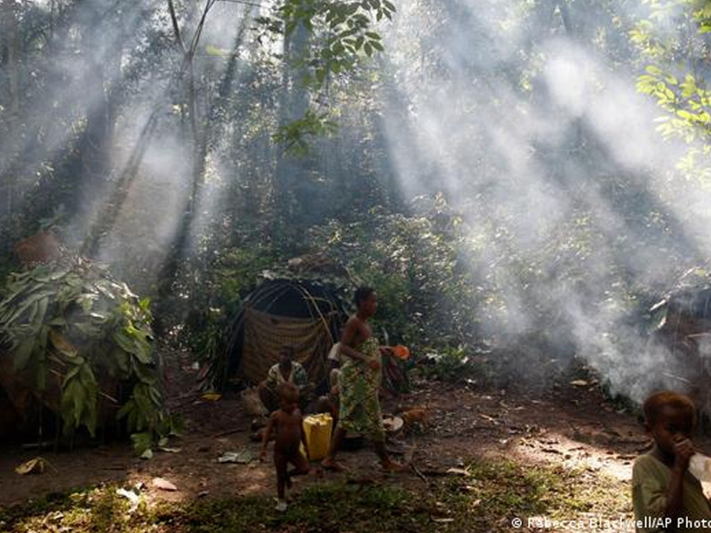 Hutan hujan cekungan Kongo-U