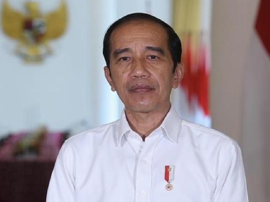 Jokowi ungkap penyebab banjir berhari-hari di kalimantan