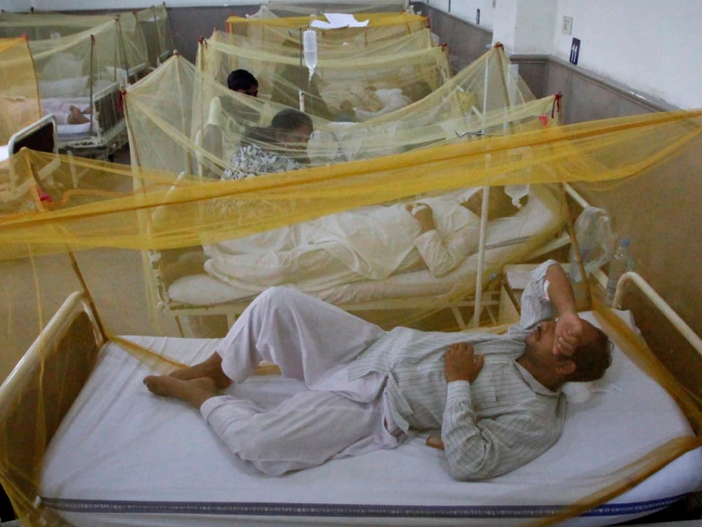 pasien demam berdarah di pakistan