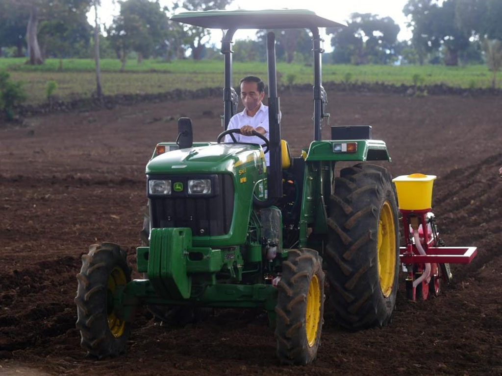 jokowi tanam jagung di jeneponto