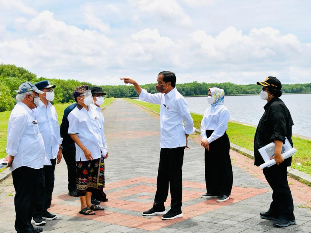 jokowi tinjau hutan mangrove di bali