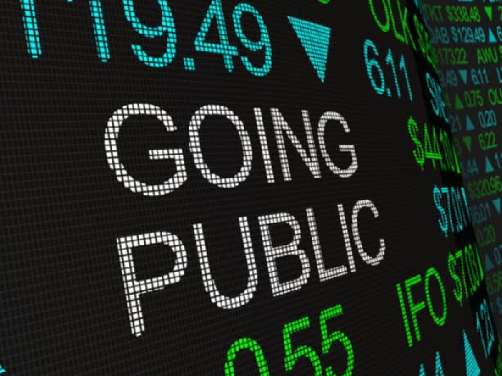 Perusahaan Go Public