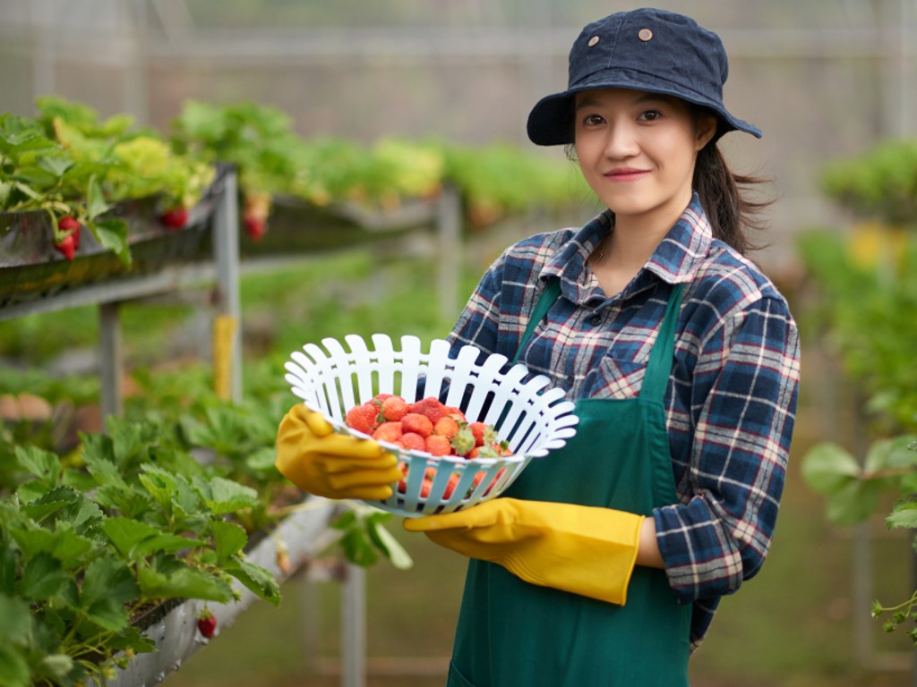 Membuka bisnis di desa