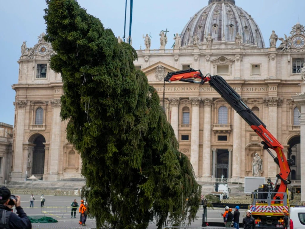 pohon natal di vatikan