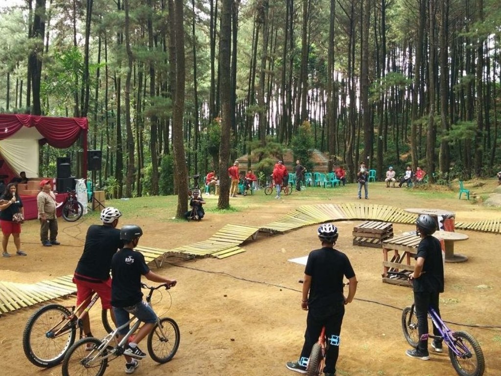 Hutan Pinus Gunung Pancar