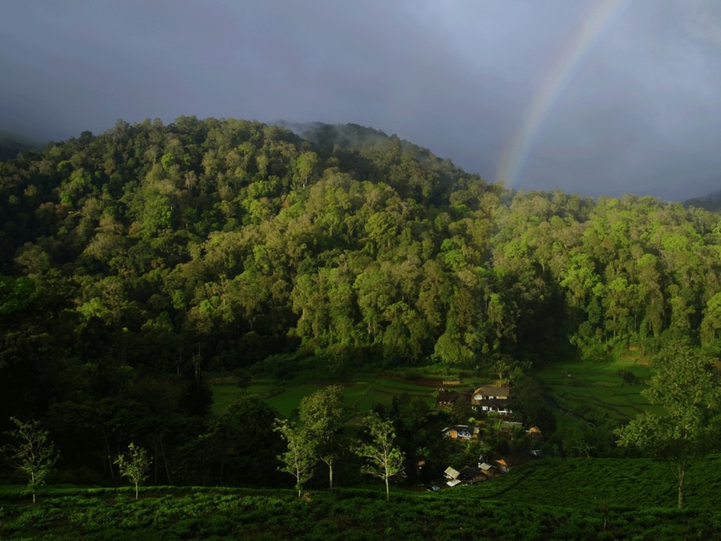 Desa Wisata Malasari