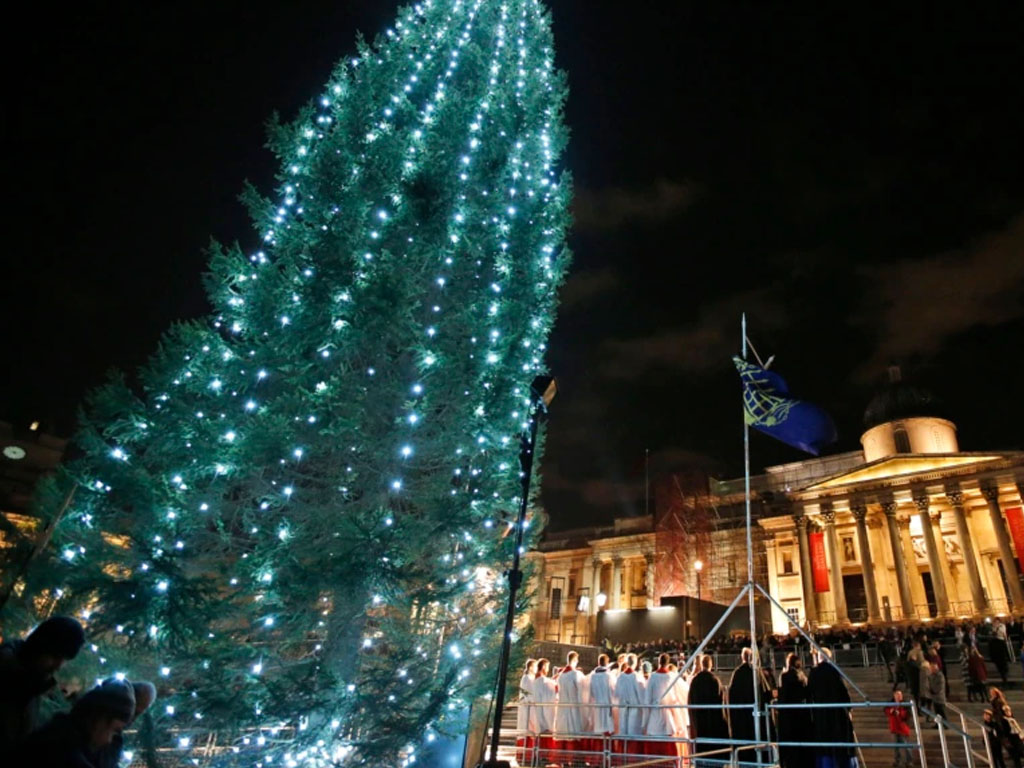 pohon natal di london