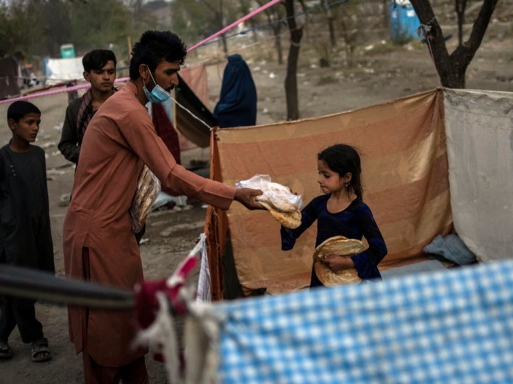 pengungsi lokal afghanitan