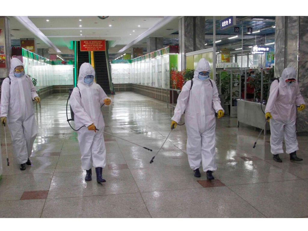 disinfektan di korut