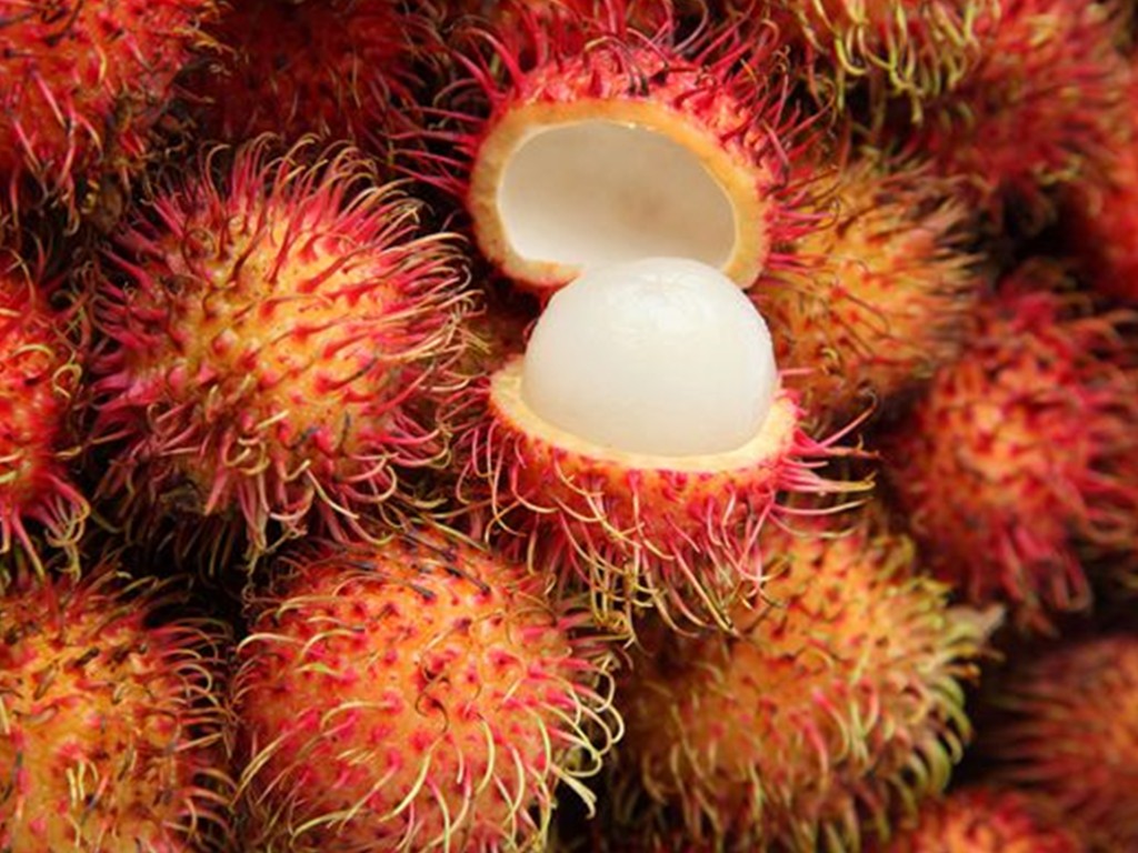 Rambutan